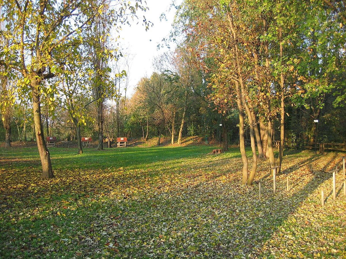 Prato con alberi in autunno