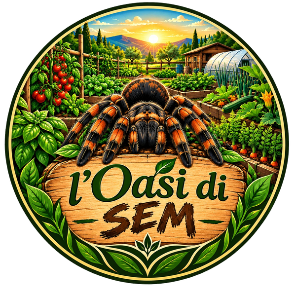Logo de L'Oasi di SEM: una tarantola su un orto con serra, al tramonto